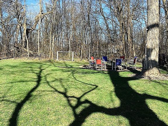 Private Wooded Backyard