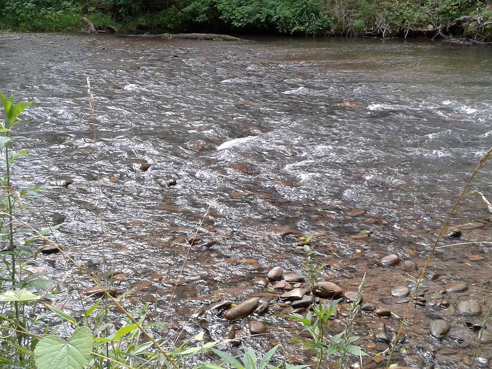 1st image of 10 Tranquility Ln