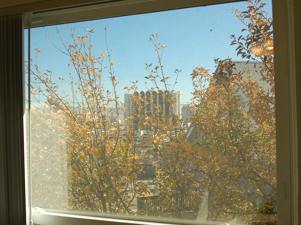 Beautiful City lights at night