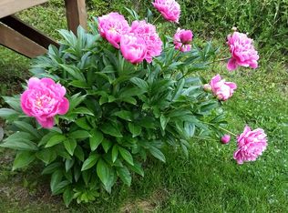 3396 Rollo Rd, Swanton, VT 05488