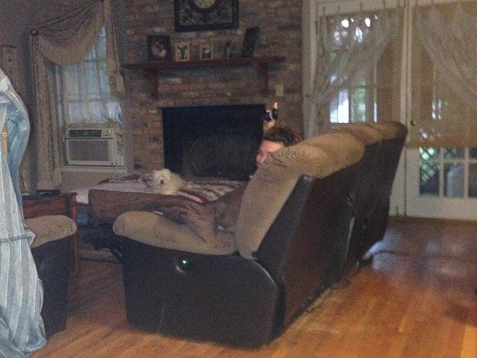 Living room area
