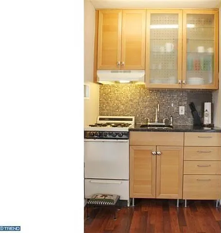 2101 Chestnut St #501 — Photo 5