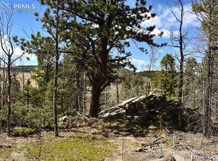 289 Timberline Ct, Florissant, CO 80816