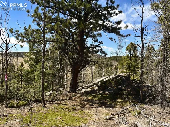289 Timberline Dr, Florissant, CO 80816