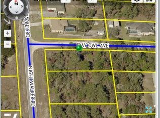 8078 Nightwalker Rd, Brooksville, FL 34613