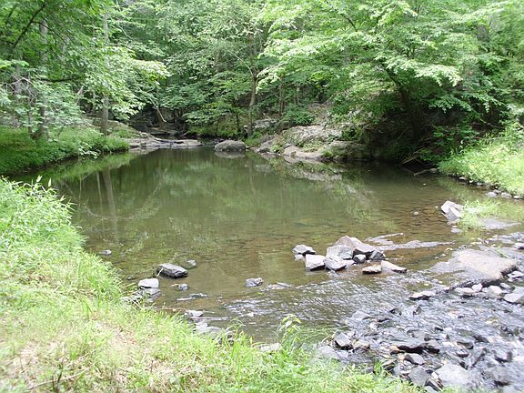 Bolin creek