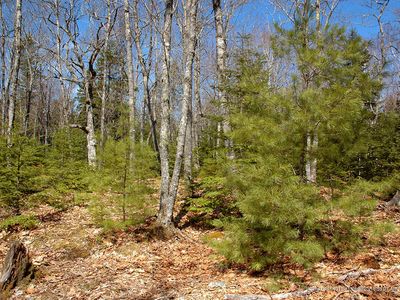 0 Arrowhead Rd Parcel 2, Bar Harbor, ME, 04609