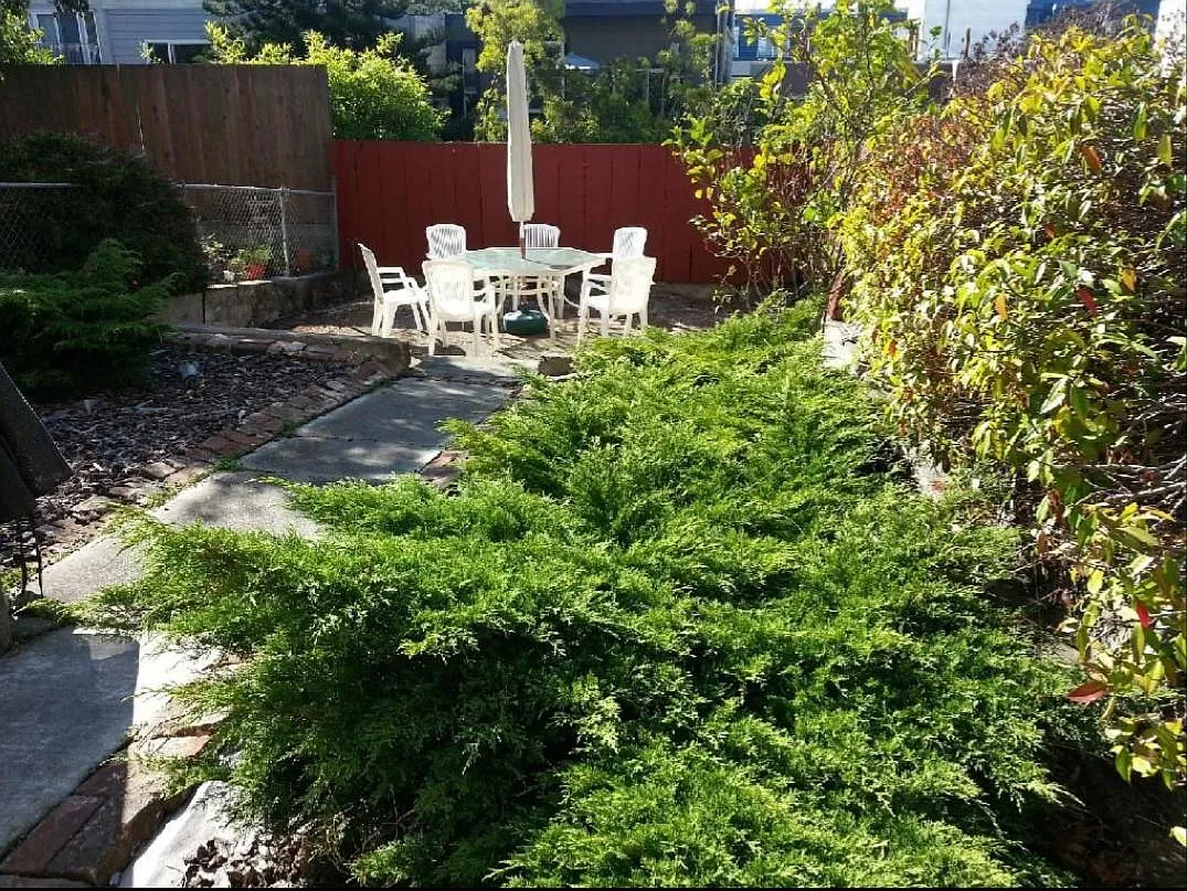 Studio, 425 sqft, $3,600 — Photo 2