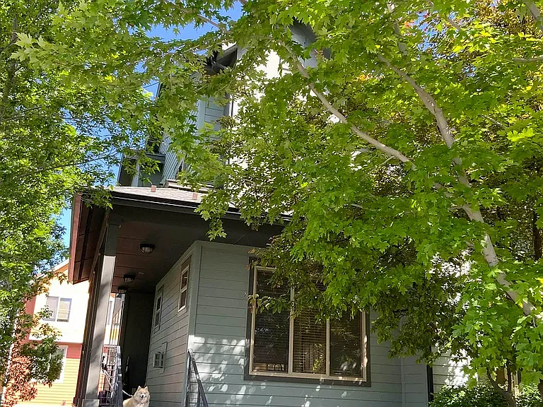 901 Countryside Blvd — Photo 7