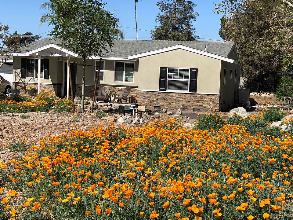 Front yard