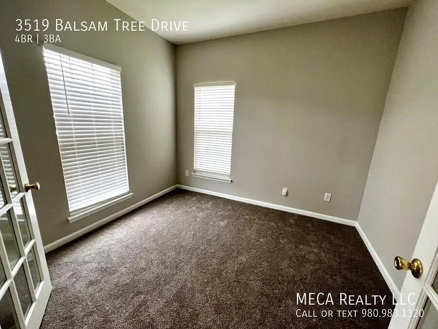 3519 Balsam Tree Drive — Photo 4