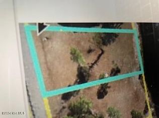 280 S Horsepen Rd, Harrells, NC 28444