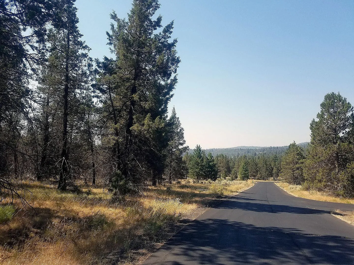 1123 Red Willow Dr photo 1