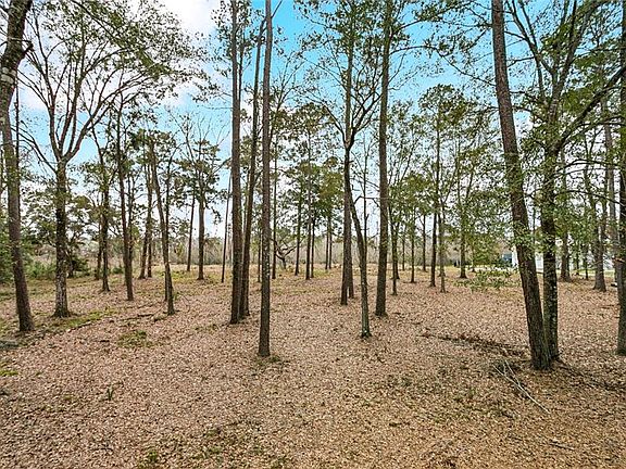4th image of LOT 12 Mattingly Ln