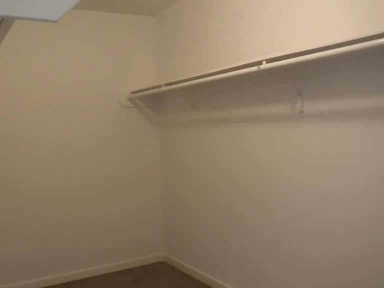 6811 Waterlilly View Ln — Photo 13