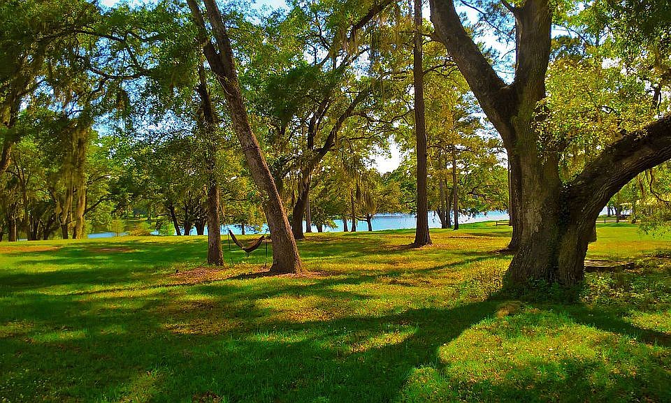 1st image of Big Woods Dr