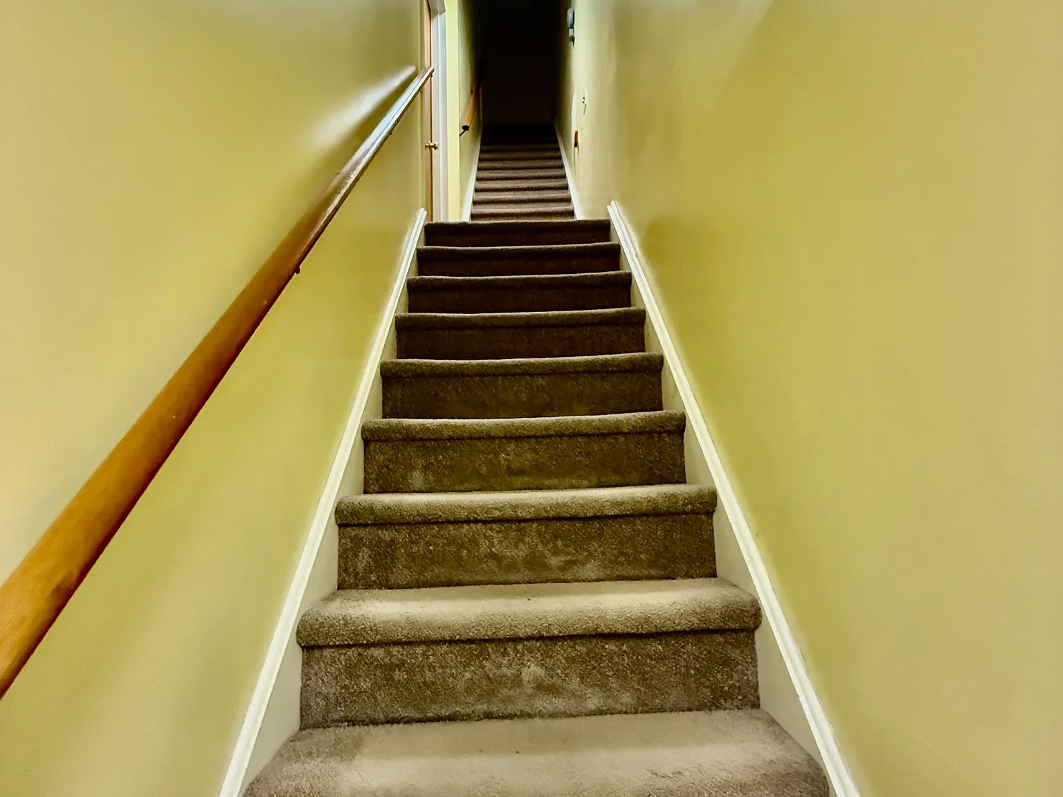 2528 Christian Street - 3rd floor — Photo 4