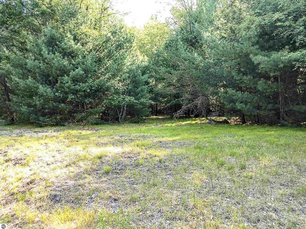 Partridge Nest, Alger, MI 48610