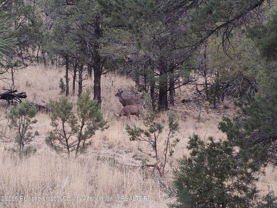 1st image of 123 Deer Valley Dr
