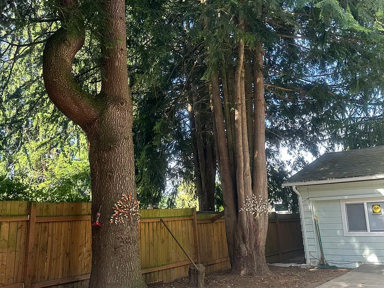 16607 Benson Rd S — Photo 30