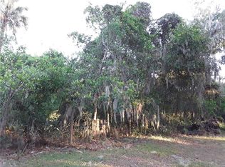 11735 John Robbins Rd, Riverview, FL 33578