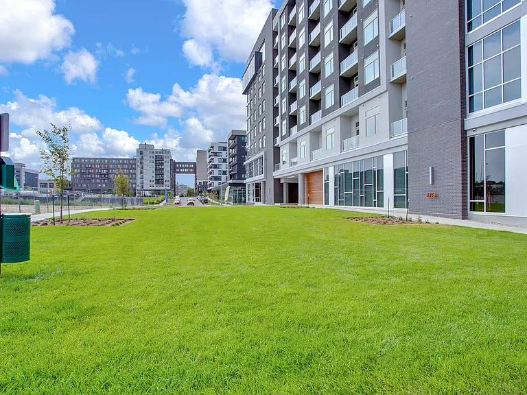 Lawn Area