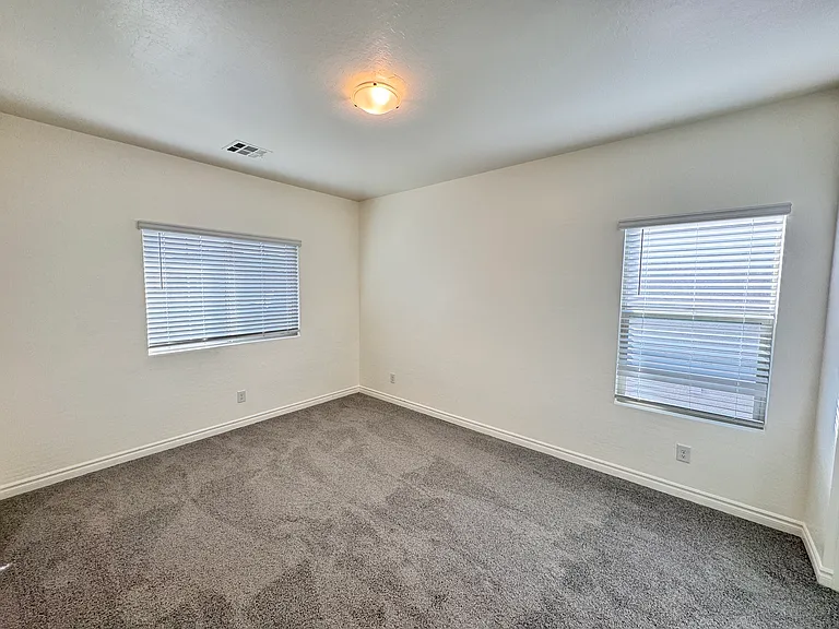 2711 Lindsey Springs St — Photo 21