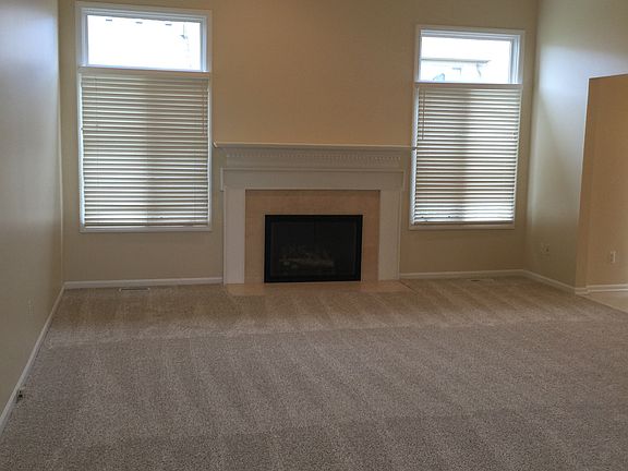 Fireplace in Living Room