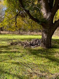 7066 Horseshoe Bend Trl, Weatherford, TX, 76087