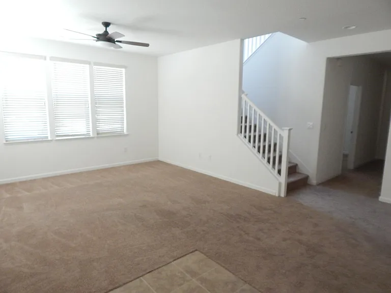 2537 Webster Ct — Photo 8
