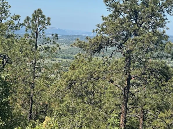 Pd #1781, Chama, NM 87520