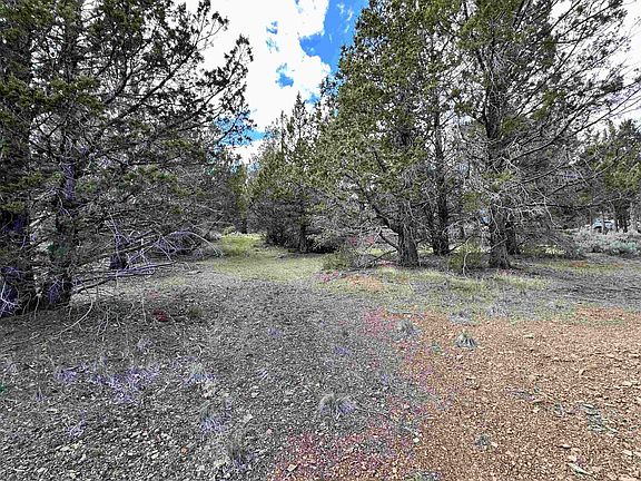 3rd image of 508-995 Stone Rd