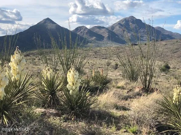 Perezoso Ct #71/2, Rio Rico, AZ 85648