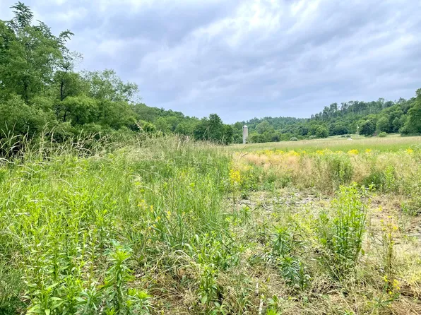 9840 Adamsville Otsego Rd, New Concord, OH 43762