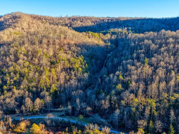 1028 E Pumpkin Valley Rd, Eidson, TN 37731