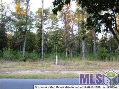 13951 Clubhouse Way, Saint Francisville, LA, 70775