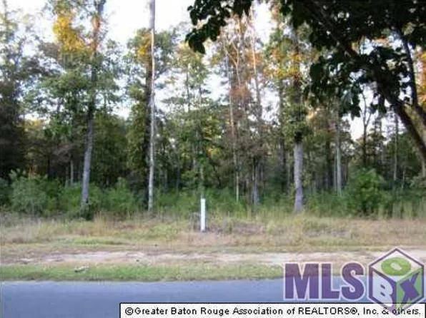 13951 Clubhouse Way, Saint Francisville, LA 70775