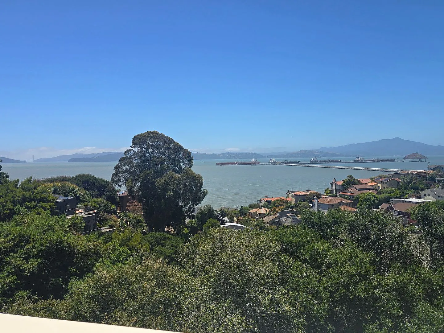 421 Golden Gate — Photo 4