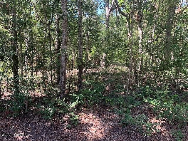 2nd image of 225 Muscadine Wynd