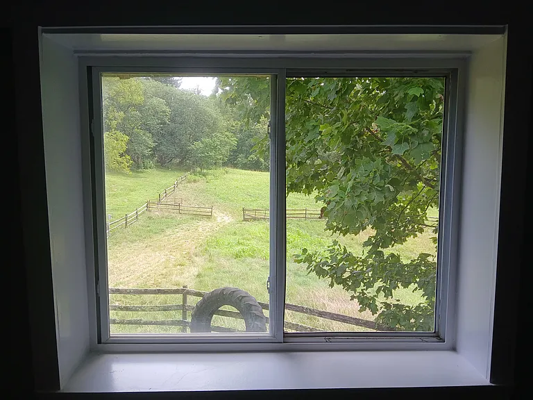 Living room window