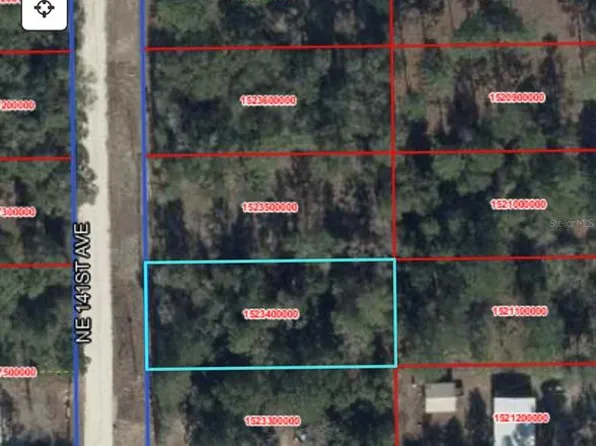 NE 141st Ave Lot 34, Williston, FL 32696