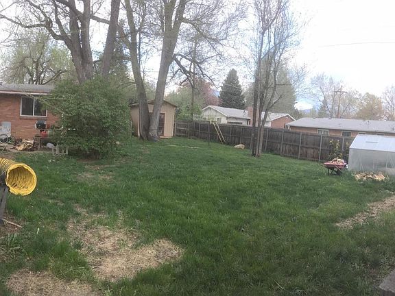 Extra large backyard with great big trees for shade in the summer!
