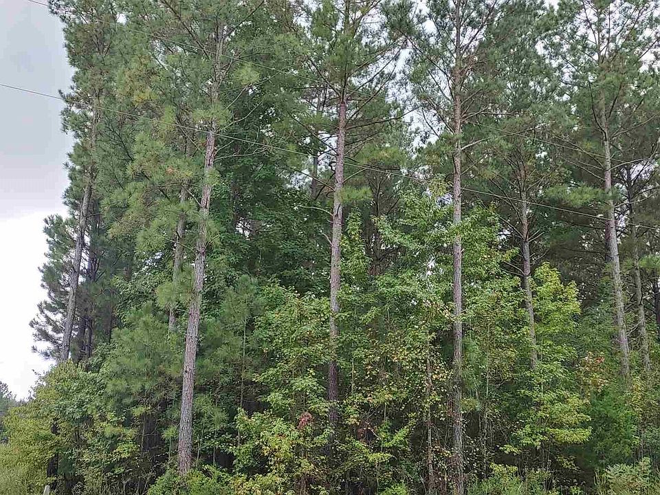 2nd image of 339 Shadow Mist Ln