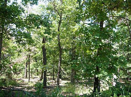 2nd image of 6 4th Acres #170
