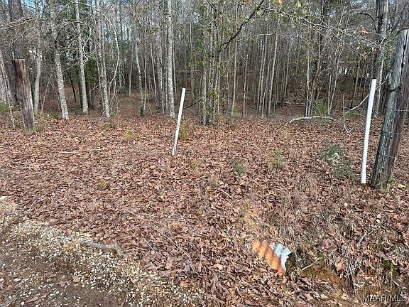 3rd image of 0 County Road 103