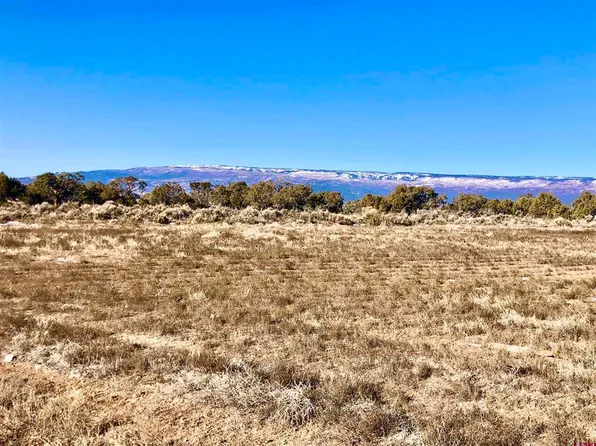 Lot 9 Summit Court, Cedaredge, CO 81413