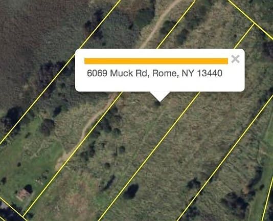 Over view of Property
