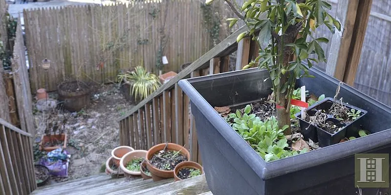 Rented by Halstead Real Estate | media 43