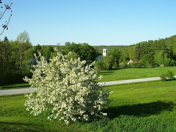 Local Views