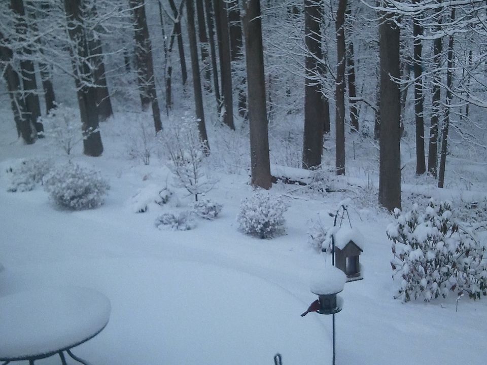 2nd image of 41 Fawn Hollow Ln